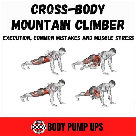 Mountain climber stretch.  As a compound exercise, mountain climbers work multiple mu...