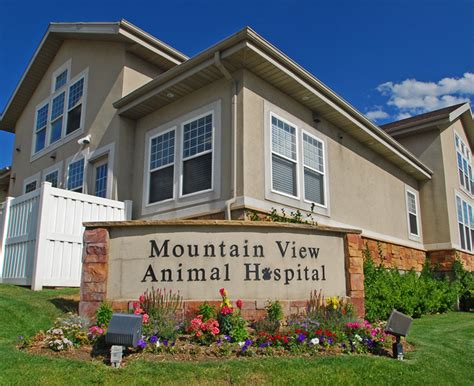 Mountain view animal clinic. Specialties: Mountain View Animal Hospital Provides Animal Hospital, Animal Surgery, Pet Medicine, Therapeutic Laser, IDEXX Suite of Laboratory Equipment, Digital Radiography, Ultrasound, Dentistry, Digital Dental Radiography Services to the Rapid City, SD Area. 