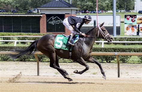 Winning Owner: Terry L. Boyd. Winning Breeder: Hill 'n' Dale Equine Holdings, Inc. Mountaineer Entries, Mountaineer Expert Picks, and Mountaineer Results for Wednesday, July, 6, 2022. The top pick is #8 Loopy the 8/5 ML favorite trained by Juan Pablo Silva and ridden by Fausto Henrique Da Silva.. 