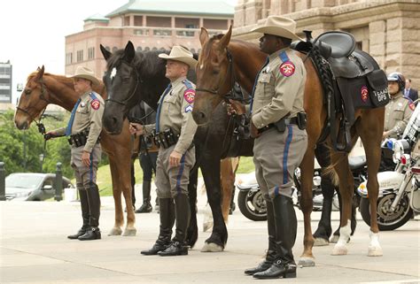 Mounted horse patrol coming to Texas State University