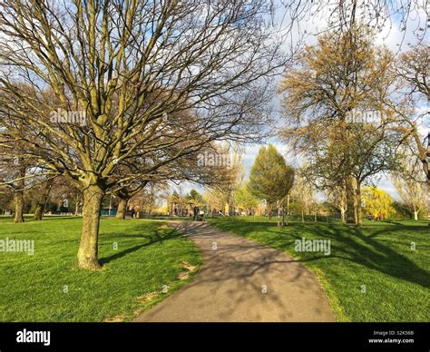 Mountsfield Park, London