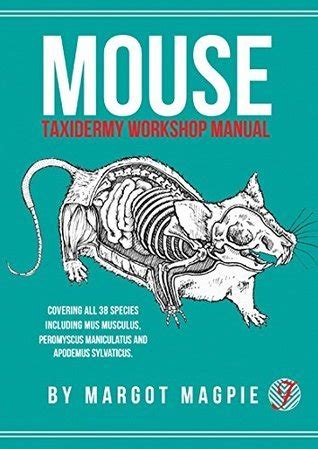 Mouse a taxidermy workshop manual a field guide. - Medical technologist test preparation generalist study guide.
