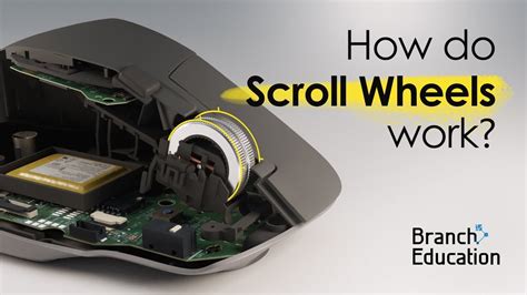 Mouse scroll wheel only works sometimes.  If the scroll wheel works in Safe M...