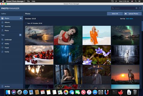 Movavi Photo Manager 2.0.0 With Crack 