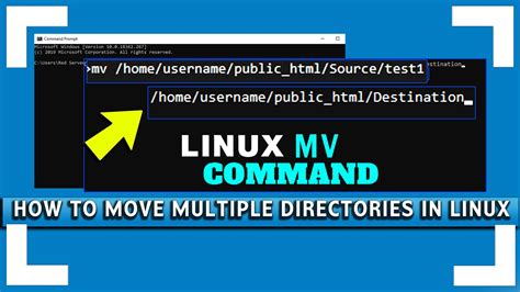 Move Multiple Folders In Linux