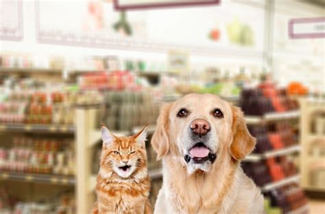 Move Over, Partner: Your SO Prefers to Shop for Dogs and Cats Over You!