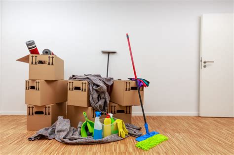 Move-in and move-out cleaning. Remove all marks from the baseboards. Dust blinds or other fixtures that belong to the apartment. Remove any pet odors. *Disinfection cleaning is most effective on hard … 