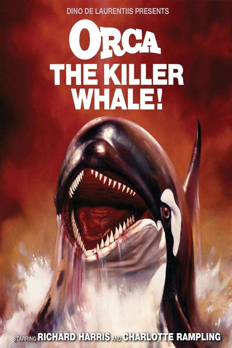 Movie orca. A hunter captures a killer whale to sell it for profit, but the orca seeks revenge by killing his mate and other crew members. The orca escapes to the ice fields and challenges the … 