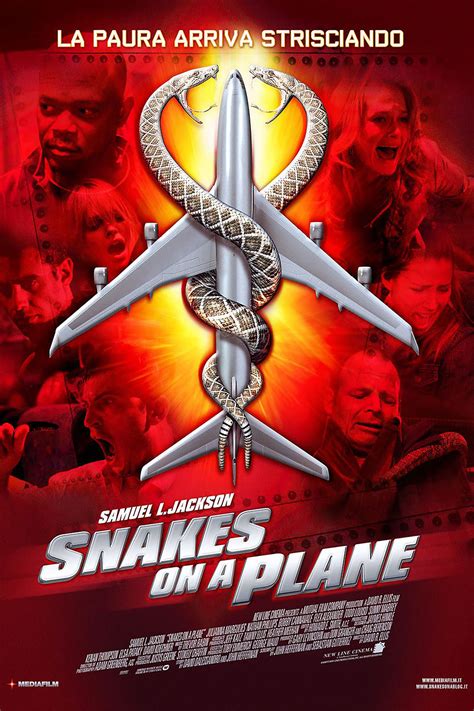 Movie with snakes on a plane. Snakes on a Plane is a 2006 thriller film starring Samuel L. Jackson in which hundreds of poisonous snakes are released on a passenger jet flying between Hawaii and Los Angeles. Prior to its release in theaters, its B-movie style title combined with Jackson’s casting resulted in much hype for the film online, resulting in a number of parody videos and fan art. 