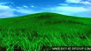 Moving Grass GIFs - Get the best GIF on GIPHY