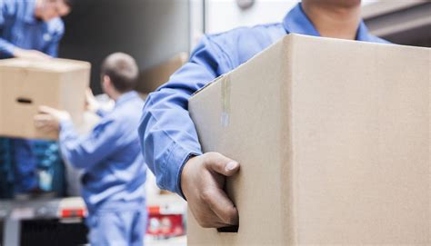 Moving labor. Things To Know About Moving labor. 