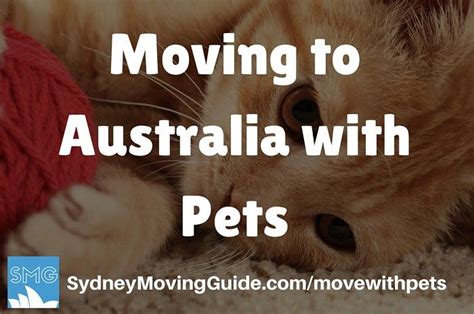 Moving to Australia with Pets? Read This First!