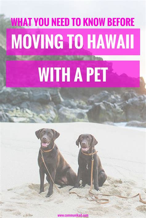 Moving to Hawaii: What You Need to Know - Moving.com