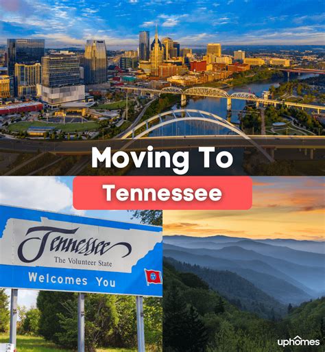 Moving to tennessee. As TN Promise moves forward, it stands not only as a testament to Tennessee's dedication to education, but also as a model for other states to … 