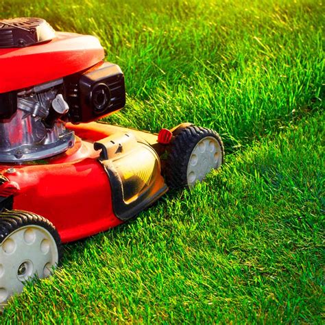 Mow lawns. Grass mowing is a weekly ritual for most lawn owners. Here are some lawn maintenance tips to help you get the best from your lawn mower and your lawn. Table of … 