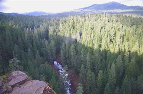 Mowich Butte from Trout Creek Hike - Oregon Hikers