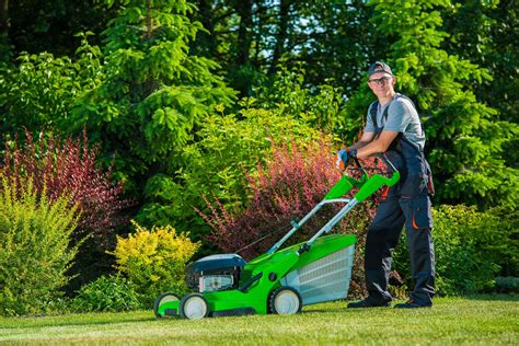 Mowing! #shorts #lawn #now #diy #howto #lawncare #LawnShark