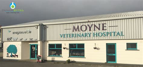 Moyne Veterinary Hospital in Enniscorthy Vets