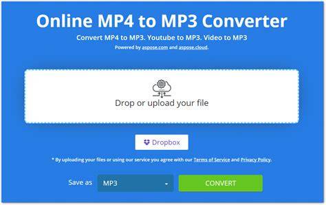 Mp4 mp3 convert.  You can use the options to control video resolution, qualit...