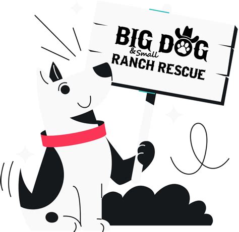 Mr beast big dog ranch. It has been close to 5 months now and we still haven’t received the dog food. When I call the dog adoption agency and ask about it they say that he has given the dog food to no one and has completely cut off contact with Big Dog Ranch. It’s pretty messed up to offer an adoption agency something and then just run away when the bill comes. 