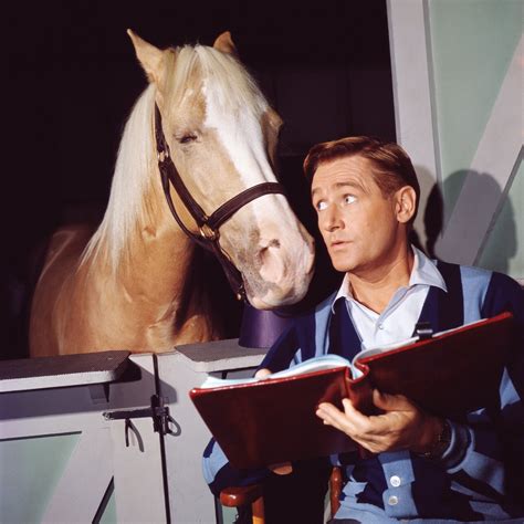 Mr ed horse. Things To Know About Mr ed horse. 