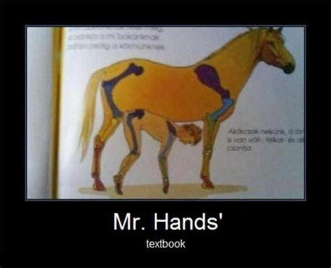 Mr hand horse video. We would like to show you a description here but the site won't allow us. 