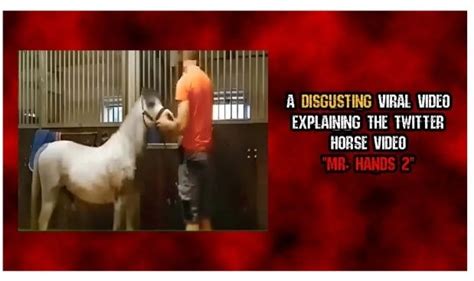 Mr hands horse case. A disturbing video showing a horse mounting a man has led to Mr Hands trending again after almost 2 decades. The video shared on social media platform X, formerly known as Twitter, showed a man petting a horse in a barn. The man then pulls down his trousers and turns his back for the horse to mount and penetrate him. The video went viral online on Nov. 1, 2023, and people began speculating on ... 