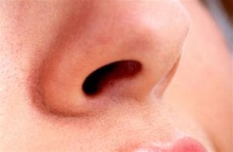Mrsa in the nose images. Things To Know About Mrsa in the nose images. 
