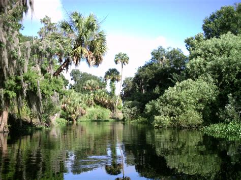 🔥 Mrsvos Onlyfans Leaked XXX