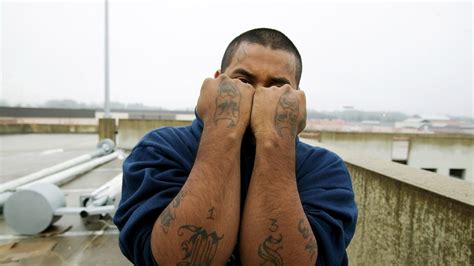 Mara Salvatrucha, commonly known as MS-13, is an international criminal gang that originated in Los Angeles, California, in the 1980s.Originally, the gang was set up to protect Salvadoran immigrants from other gangs in the Los Angeles area. Over time, the gang grew into a more traditional criminal organization. MS-13 has a longtime rivalry with the 18th Street gang.. 