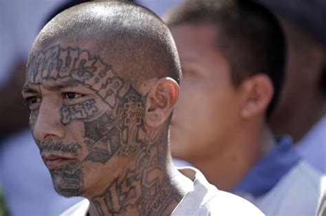 The videos that accompany many of the MS-13 rap songs perpetuate the same gang aesthetic started thirty years ago by Los Angeles-based West Coast rappers, and even earlier by Mexican and Chicano gangsters, cholos and pachucos, whose influence had been felt in Los Angeles since the 1930s.. 