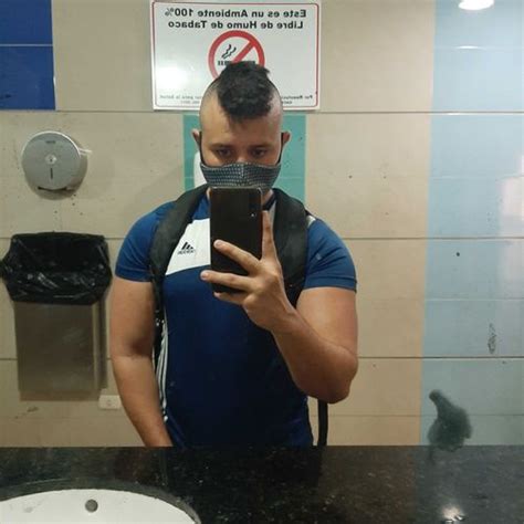 Msalexisisel