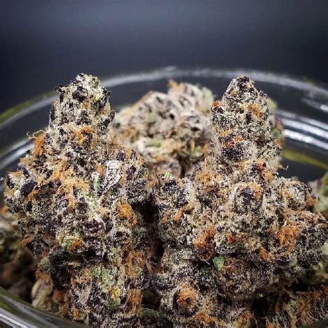 Msg weed strain. OMFG is a hybrid weed strain made by crossing Runtz with Red Pop. The effects of this strain are believed to be relaxing. These buds have green accents and are so dark violet, they look black. If ... 