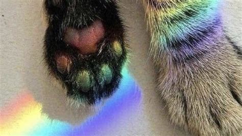 Mslittlesecret (Of) Onlyfans Leaked XxX 🍑