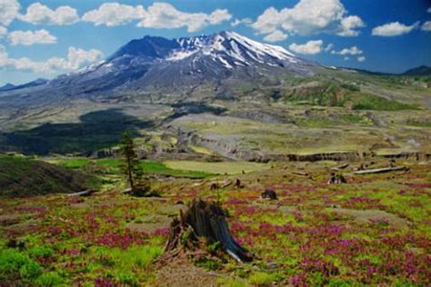 Mt St Helens, Seattle Ticket Price Timings - TripHobo