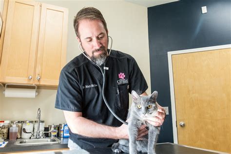 Mt carmel animal hospital. Things To Know About Mt carmel animal hospital. 
