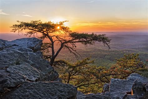 Mt cheaha state park. The Eagle Award – sponsored by the State Parks Division of the Alabama Department of Conservation and Natural Resources – is presented annually to people and organizations who have made outstanding contributions in support of the Alabama State Parks. Official Website of the Alabama State Parks a division of the Alabama Department of ... 