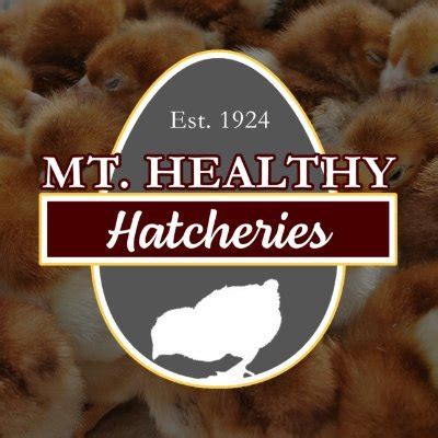 The Mt. Healthy Mission —. As we move into our 4th generation of doing business, we want to take time to thank you, our customers. From 1924 to today we have hatched and sold millions of chicks throughout the nation. Your continued loyalty, support and feedback not only humble us but motivate us each and every day to continue to fulfill our ...