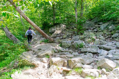 Mt tammany red dot trail. Deze route doorkruist de Red Dot, Blue Dot, Dunnfield Creek (lichtgroen) en Appalachian (wit) Trails. Sommige stukken zijn erg steil en rotsachtig. 