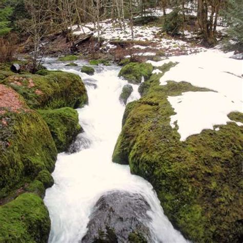 Mt. Hood National Forest - Eightmile Campground - US …