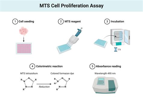 Mts assay Sigma-Aldrich