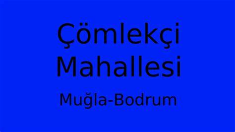 Muğla Bodrum Comlekci Mahallesi terapi halı yıkama