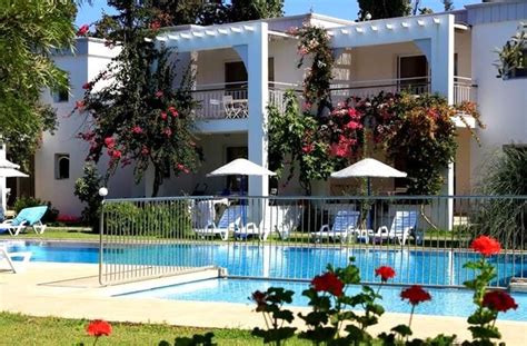 Muğla Bodrum En Yakin terapi halı yıkama