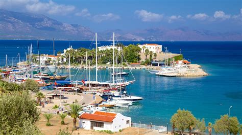 Muğla Datca terapi halı yıkama