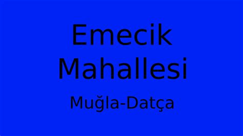 Muğla Datca Emecik Mahallesi terapi halı yıkama