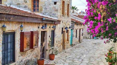 Muğla Datca Sindi Mahallesi terapi halı yıkama