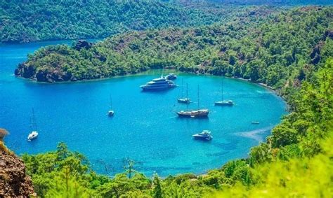 Muğla En Yakin terapi halı yıkama