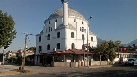 Muğla Fethiye Cami Mahallesi terapi halı yıkama