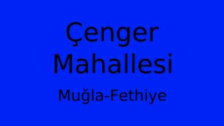 Muğla Fethiye Cenger Mahallesi terapi halı yıkama