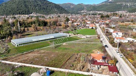 Muğla Fethiye Nif Mahallesi terapi halı yıkama